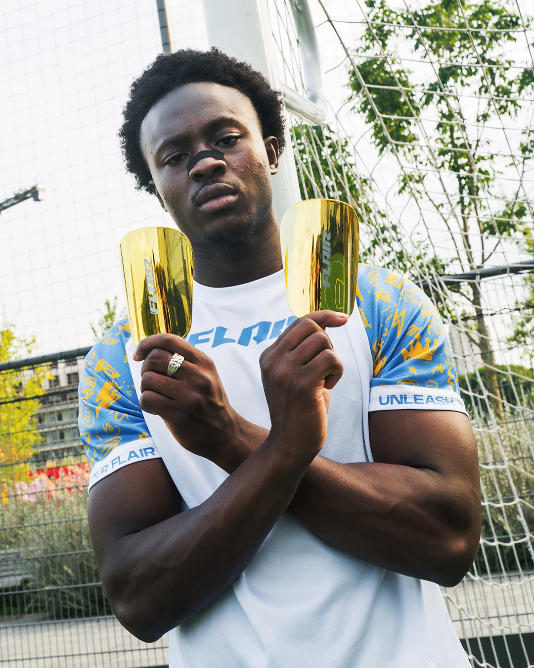 Parastinchi dorati - Image 8