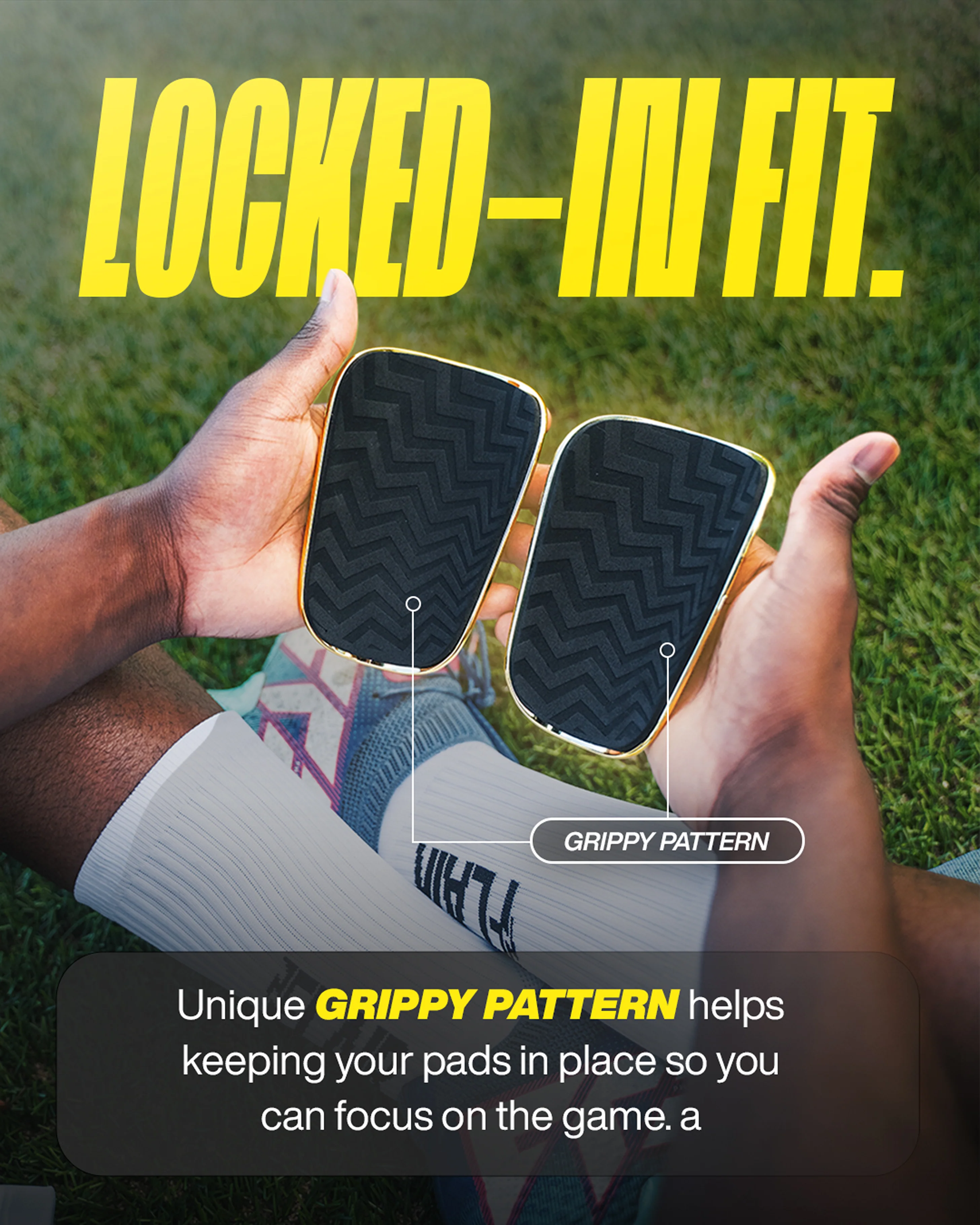 Parastinchi dorati - Image 4